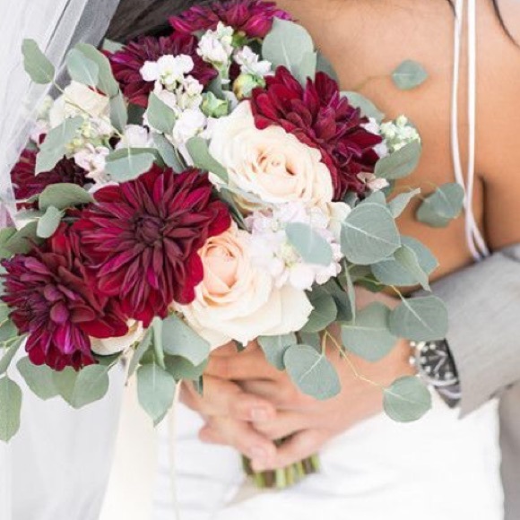 Meet your Posher, Anna - Picture 1 of 1